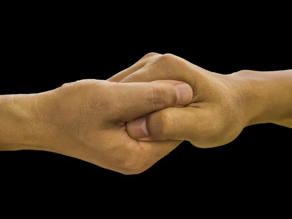 ريتش بالمز كازينو الدعم